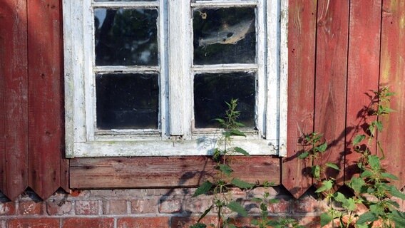 Büttenwarder-Disägn mit Ambiente: Ein altes Holzfenster mit Sprossen. © NDR / Nicolas Maack 