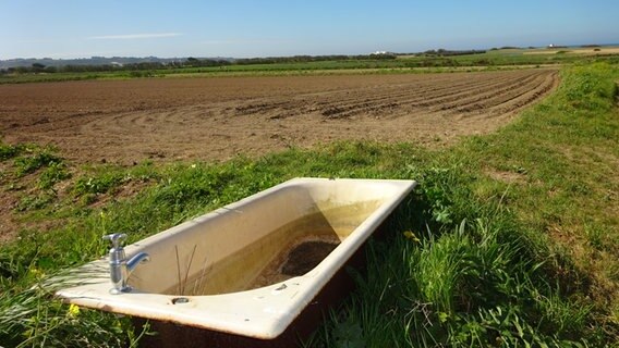 Eine alte Badewanne steht auf einem Feld mit Blick auf's Wasser. © NDR/Sonja Latimer 