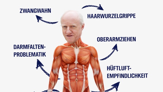 Ein bildlilche Übersicht eines anatomischen Körpers. © colourbox 