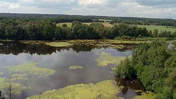 Ein See aus der Vogelperspektive. © NDR 