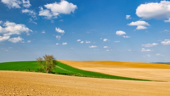 Landschaft bei Güstrow mit blauem Himmel und Acker  Foto: Jürgen Evert aus Güstrow