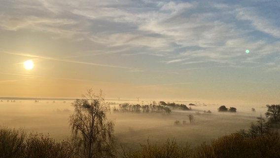 Nebel liegt über der Landschaft auf dem Darß.  Foto: Dani Schwedhelm aus Altefähr