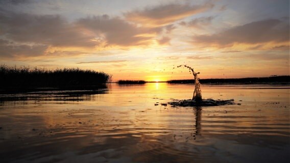 Sonnenuntergang am Kummerower See. © NDR Foto: Matthias Sommer aus Gielow