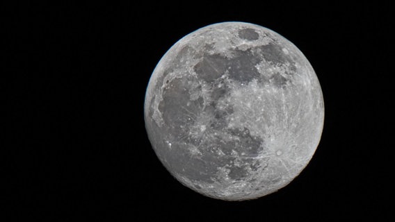 Vollmond. © NDR Foto: Uwe Meyer aus Lübtheen