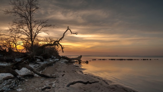 Sonnenuntergang © NDR Foto: Günter Kamp aus Greifswald
