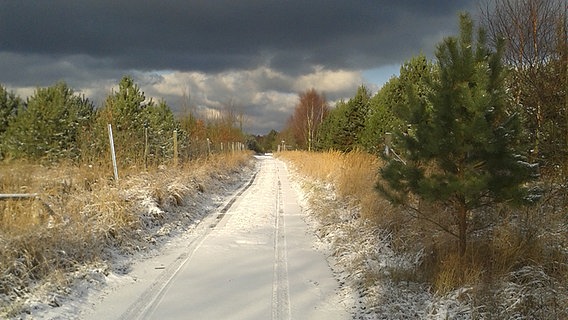 Verschneiter Weg in der Rostocker Heide © NDR Foto: Hermann Keil aus Rövershagen