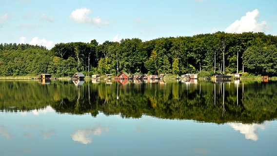 Häuser an einem See © NDR Foto: Norbert Brandt aus Neubrandenburg