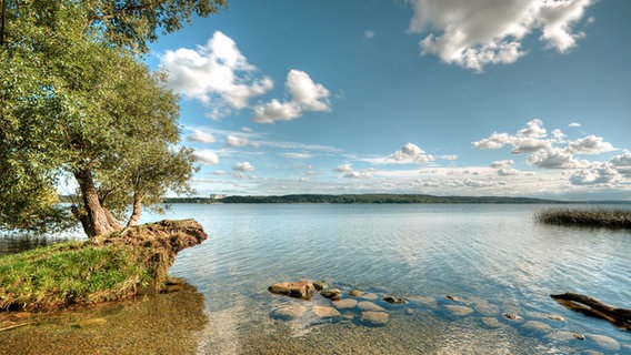 Klares und stilles Wasser eines Sees © NDR Foto: Werner Bayer aus Neubrandenburg