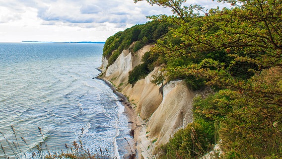 Kreidefelsen auf Rügen © NDR Foto: Marion Schmidt aus Barth