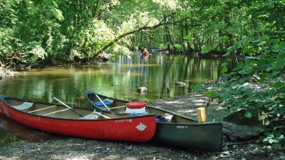 Kanus liegen am Ufer eines kleinen Flusses im Wald. © NDR Foto: Marita Krauel aus Rostock
