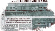 Ein Zeitungsausschnitt mit der Überschrift "Prostituierte und Zuhälter aus Hamburg beherrschen den Rostocker Wohnwagen-Strich" © Screenshot 