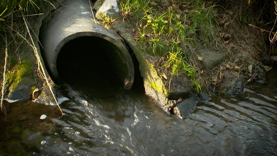 Ein Roh leitet Wasser in einen Fluss © NDR 