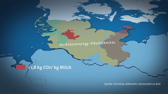 In Schleswig-Holstein ist die Milchproduktion in einem Moorgebiet mit dem Namen Eider-Treene-Sorge Niederung besonders klimaschädlich. © NDR 