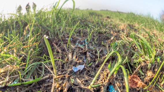 Plastikschnipsel liegen überall auf dem Feld verstreut.  