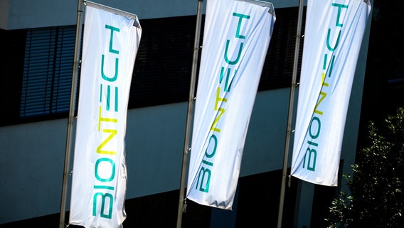 Fahnen der Firma Biontech. © dpa 