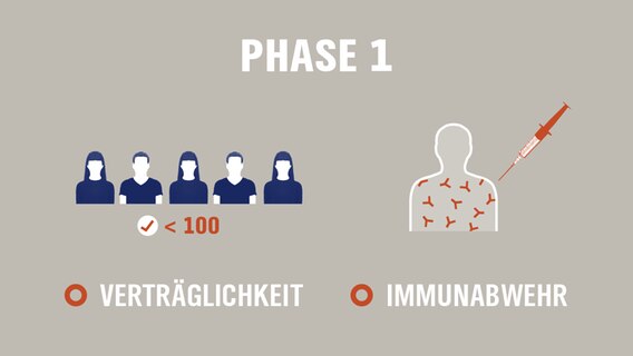 Phase 1 der Impfstoff-Entwicklung. In der Regel weniger als 100 Probanden, bei denen getestet wird, ob der Impfstoff sicher ist und zu einer Reaktion des Immunsystems führt.  