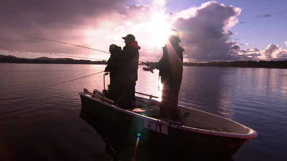 Auf dem Westensee sind nur Ruderboote gestattet. Gerade in den Abendstunden beißen die Raubfische am besten. © NDR 