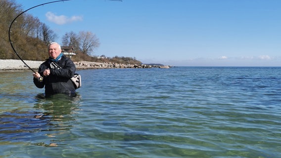 Rute krumm beim NDR Angelexperten Horst Hennings. Beim Watangeln in der Eckernförder Bucht hat ein Fisch gebissen - eine Meerforelle? © NDR/Heinz Galling 