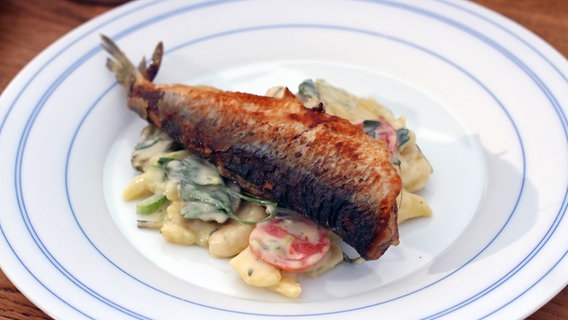 Gebratener Hering mit Kartoffelsalat auf einem Teller serviert. © NDR Foto: Florian Kruck