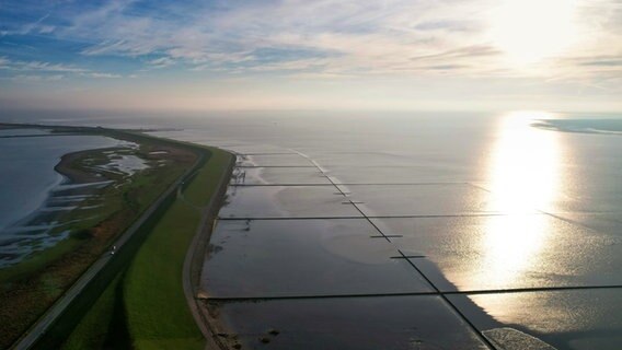 Luftaufnahme Nordseeküste vor Dagebüll © Helma Johannsen Foto: Helma Johannsen