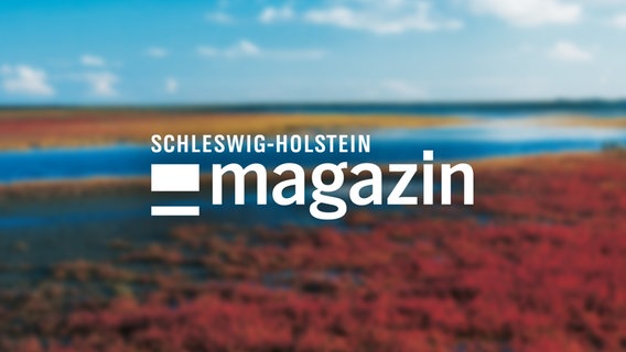 Logo der Sendung Schleswig-Holstein Magazin © NDR 