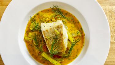 Seelachs-Filet mit Schmorgurken und Curry auf einem Teller angerichtet. © NDR 