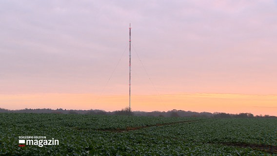 Eine Sendeantenne steht auf einem Feld bei Flensburg. © NDR 