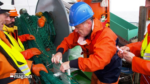 Fachleute bringen einen Sensor an ein Fischereinetz auf einem Forschungsschiff an, um Daten zu sammeln. © NDR 