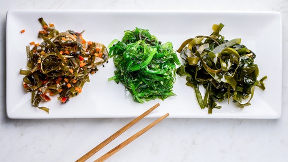Drei verschiedene Sorten Algen auf einem Teller Angerichtet © Colourbox Foto: -