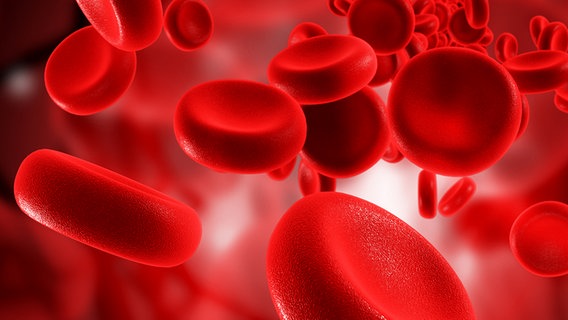 Grafik von Blutkörperchen © Fotolia.com Foto: abhijith3747