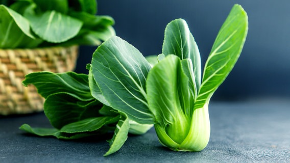 Pak Choi © colourbox Foto: -