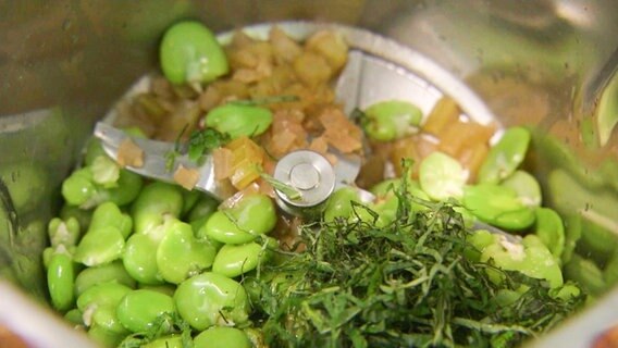 Dicke Bohnen, Kräuter und Zwiebeln in einem Mixer. © NDR 