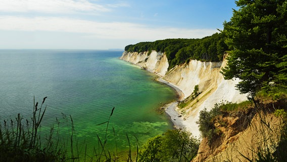 Kalksteinküste der Insel Rügen in MV © picture alliance / robertharding | Jochen Schlenker 