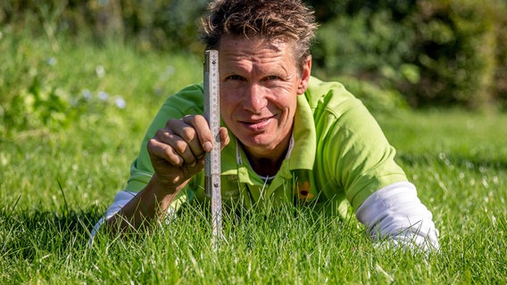 Rasen wächst ca. drei Zentimeter in der Woche © NDR/Udo Tanske 