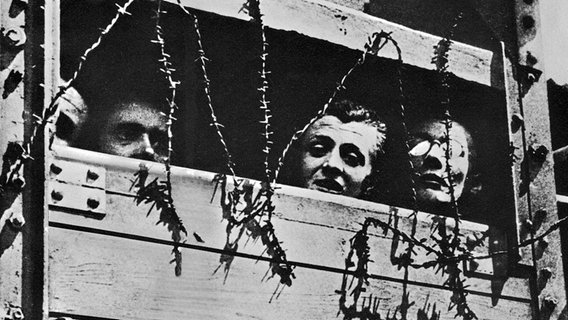 Aus einem mit Stacheldraht gesicherten Viehwaggon blicken drei Menschen - undatiertes Bild von der Ankunft neuer Opfer in Auschwitz. © picture-alliance / United Archives/TopFoto 