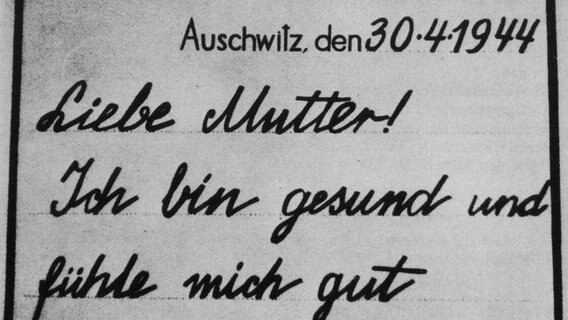 Postkarte eines Kindes aus Auschwitz: "Liebe Mutter! Ich bin gesund und fühle mich gut" - die Formulierung war vorgeschrieben für Häftlingspost © picture alliance / Mary Evans Picture Library 