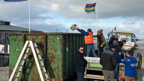 Freiwillige sammeln am Strand bei Midsland aan Zee auf der niederländischen Insel Terschelling angespülte Waren ein, die aus den über Bord gegangenen Containern der "MSC Zoe" stammen. © picture alliance/Minke Schat/dpa Foto: Minke Schat