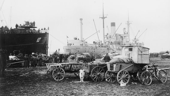 Am Hafen von Pillau stehen Flüchtlingskarren, im Hintergrund zwei Schiffe. © picture-alliance / akg-images 