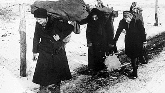 Frauen sammeln im Winter 1946 in der Umgebung von Berlin Brennholz. © NDR/ akg images 