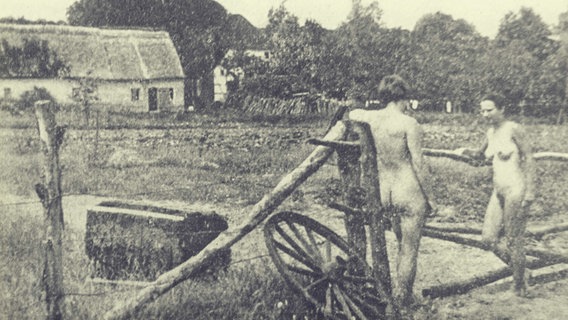 Die Nudisten der FKK-Anlage "Jungmöhl" sind Selbstversorger. Die Nudisten der FKK-Anlage "Jungmöhl" sind Selbstversorger. © NDR