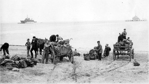 Männer beladen Pferdefuhrwerke am Strand, im Meer ankern Schiffe © Kirchspielarchiv Steinberg Foto: Walter Schöppe