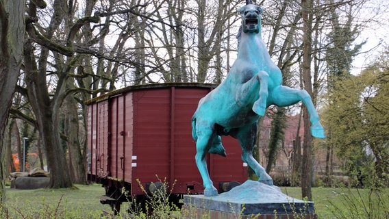Gedenk-Eisenbahnwaggon und Bronzestatue eines Pferdes im Lüneburger Wandrahmpark. © NDR Foto: Lars Gröning