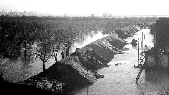 Deich mit mehreren Durchbrüchen in Hamburg-Neuenfelde nach der Sturmflut 1962. © NDR/Nico Bundt 