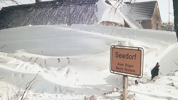 Der völlig verschneite Ortseingang von Seedorf auf Rügen im Winter 1979. © NDR Foto: Gerd Weinhardt