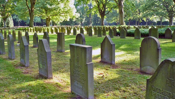 Soldatengräber des Ersten Weltkriegs auf dem Friedhof in Hamburg-Ohlsdorf © NDR Foto: Irene Altenmüller