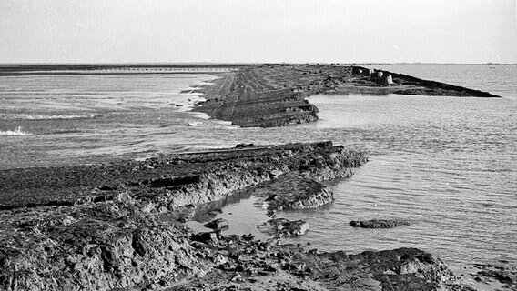 Ein beschädigter Deich nach der Sturmflut 1962 © NDR Foto: unbekannt