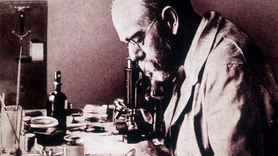 Robert Koch schaut in seinem Labor durch ein Mikroskop. (Undatierte Aufnahme) Robert Koch schaut in seinem Labor durch ein Mikroskop. (Undatierte Aufnahme) © picture-alliance / maxppp Foto: Costa