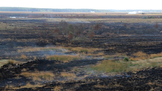 Rauch steigt von verbrannten Moorflächen auf dem Gelände der Wehrtechnischen Dienststelle 91 in Meppen auf. © picture alliance | dpa Foto: Ilja Derstroff | Bundeswehr