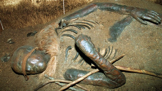 Im Mai 1952 in der Nähe von Windeby bei Eckernförde beim Torfstechen gefundene weibliche Moorleiche. (Foto von 1999) © picture-alliance / dpa/dpaweb Foto: Horst Pfeiffer