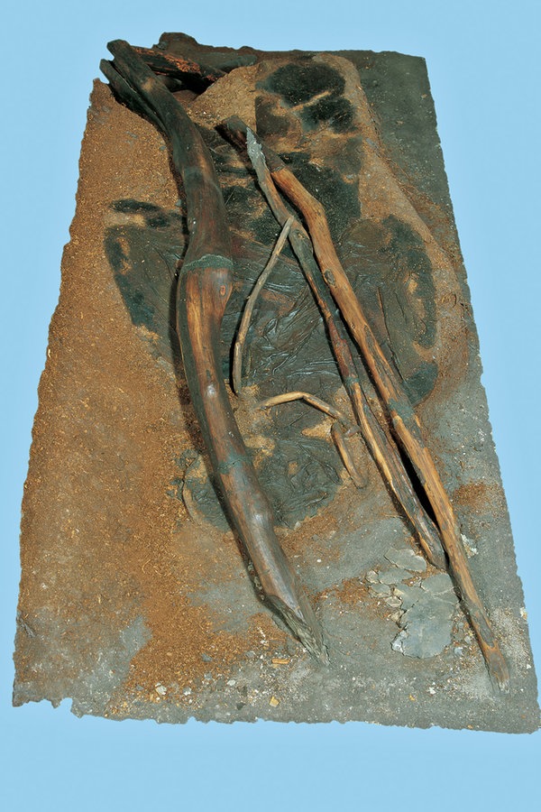 Die erhaltenen Überreste der Moorleiche "Mann von Windeby", die im Archäologischen Museum Schloss Gottorf in Schleswig aufbewahrt wird. Die erhaltenen Überreste der Moorleiche "Mann von Windeby", die im Archäologischen Museum Schloss Gottorf in Schleswig aufbewahrt wird. © Archäologisches Museum Schloss Gottorf Schleswig
